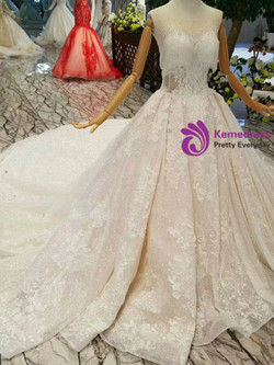 Champagne Tulle Sequins Bateau Backless Appliques Wedding Dress