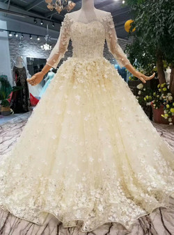 Light Champagne Tulle Appliques Long Sleeve Floor Length Wedding Dress