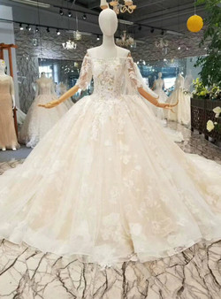 Champagne Ball Gown Tulle Lace Short Sleeve Off The Shoulder Wedding Dress