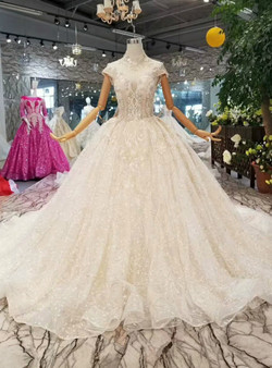 Champagne Tulle Lace Appliques High Neck Backless Wedding Dress With Train