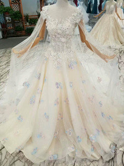 Champagne Ball Gown Tulle Appliques Cap Sleeve Backless Wedding Dress