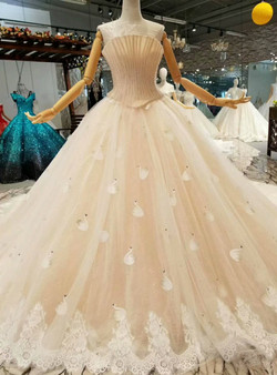 Champagne Ball Gown Tulle Strapless Swan Appliques Wedding Dress With Train