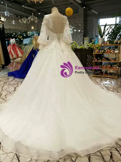 Ball Gown Tulle Sequins Long Sleeve Backless Appliques Wedding Dress