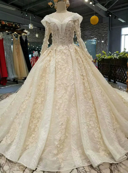 Champagne Ball Gown Tulle Appliques Long Sleeve Backless Beading Wedding Dress