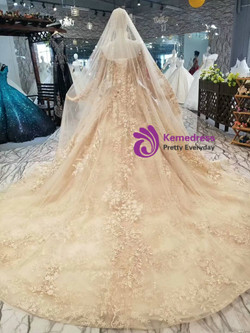 Champagne Tulle Lace Appliques Off The Shoulder Long Sleeve Wedding Dress