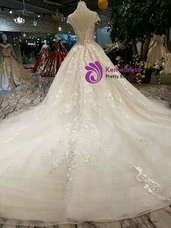 Light Champagne Tulle High Neck Cap Sleeve Backless Appliques Wedding Dress