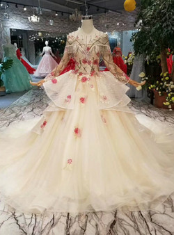 Champagne Ball Gown Tulle Sequins Embroidery Appliques Long Sleeve Wedding Dress