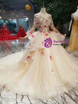 Champagne Ball Gown Tulle Sequins Embroidery Appliques Long Sleeve Wedding Dress