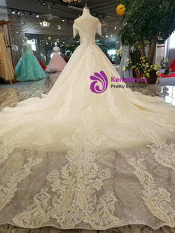 Shop 2019 Long & Short Light Champagne Tulle Sequins Backless Cap Sleeve Appliques Wedding Dress With Beading With Factory Price From Kemedress