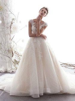 Shop 2019 Long & Short Light Champagne Tulle Bateau Cap Sleeve Appliques Wedding Dress With Factory Price From Kemedress