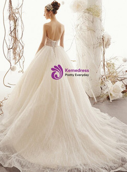 Champagne Tulle Sequins Spaghetti Straps Backless Wedding Dress With Beading