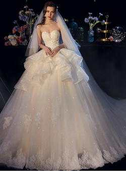 Light Champagne Ball Gown Lace Tulle Sweetheart Appliqeus Wedding Dress