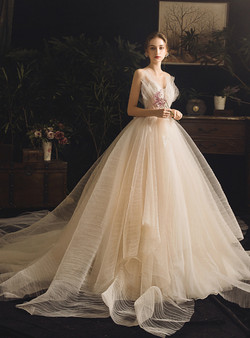 Champagne Ball Gown Tulle V-neck Backless Appliques Wedding Dress
