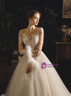 Champagne Ball Gown Tulle Appliques Long Sleeve With Feather Wedding Dress