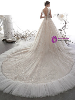 Champagne Ball Gown Tulle Sequins V-neck Backless Sleeveless Wedding Dress With Train