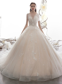 Champagne Tulle Sequins V-neck Backless Appliques Beading Wedding Dress 