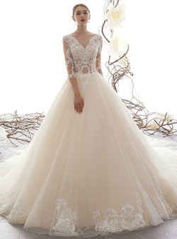 Champagne Tulle Lace Appliques Half Sleeve See Through Wedding Dress With Train