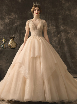 Champagne Ball Gown Tulle Sequins Short Sleeve V-neck Wedding Dress With Beading