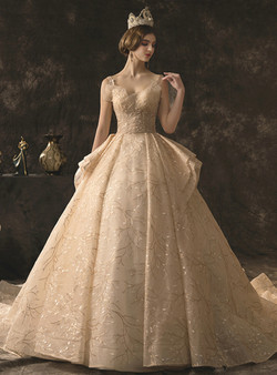 Champagne Tulle Lace V-neck Backless Wedding Dress With Beading With Train