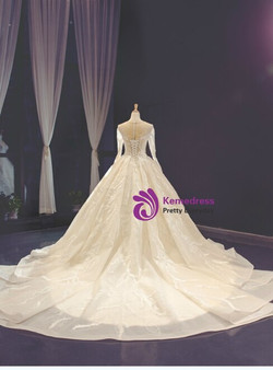 Champagne Ball Gown Tulle Appliques Long Sleeve Appliques Wedding Dress Champagne Ball Gown Tulle Appliques Long Sleeve Appliques Wedding Dress