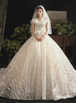 Elegant Champagne Ball Gown Tulle Sequins Off the Shoulder Wedding Dress With Train