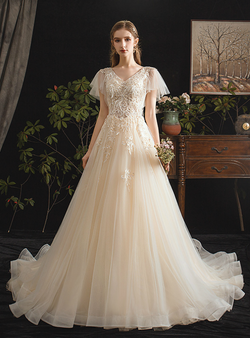 Simple Champagne Tulle Appliques Beading V-neck Wedding Dress