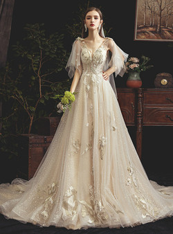 Dark Champange Tulle Deep V-neck Embroidery Appliuqes Floor Length Wedidng Dress