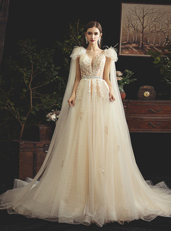 A-Line Champagne Tulle Appliques Sexy V-neck Floor Length Wedding Dress