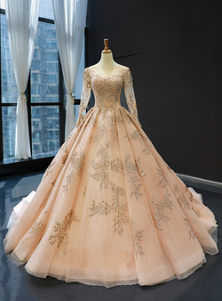 Splendid Champagne Gold Ball Gown Tulle Backless Long Sleeve Quinceanera Dresses