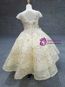 Champagne Gold Ball Gown Tulle Sequins Cap Sleeve Backless Flower Girl Dress