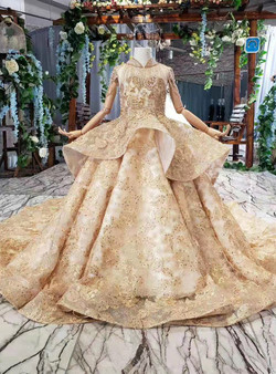 Champagne Gold Ball Gown Tulle Appliques High Neck Cap Sleeve Flower Girl Dress