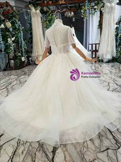 Champagne Ball Gown Tulle Hi Lo Short Sleeve High Neck Backless Beading Flower Girl Dress