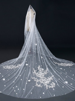 In Stock:Ship in 48 Hours White Tulle Lace Applique With Long Thread Wedding Veils