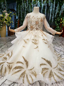 Champagne Ball Gown Long Sleeve Backless Tulle Gold Sequins Appliques Flower Girl Dress Champagne Ball Gown Long Sleeve Backless Tulle Gold Sequins Appliques Flower Girl Dress