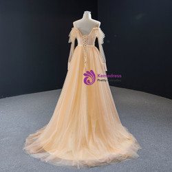Simple Champagne Tulle Long Sleeve Backless Long Prom Dress 2020 Simple Champagne Tulle Long Sleeve Backless Long Prom Dress 2020