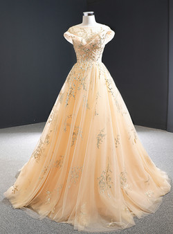 A-Line Champagne Tulle Sequins Cap Sleeve Open Back Long Prom Dress 2020