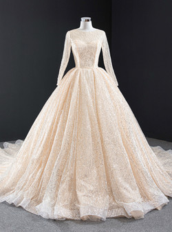 Pretty Champagne Ball Gown Tulle Sequins Long Sleeve Backless Prom Dress 2020