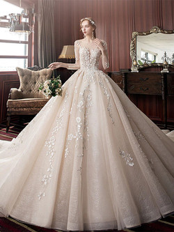 Exquisite Long Sleeves Appliques Long Sleeve Backless Tulle Appliques Wedding Dress