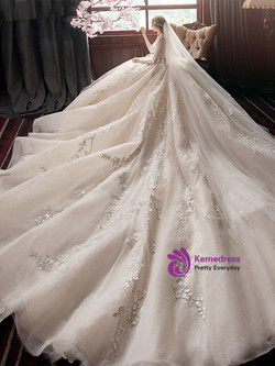 Exquisite Long Sleeves Appliques Long Sleeve Backless Tulle Appliques Wedding Dress