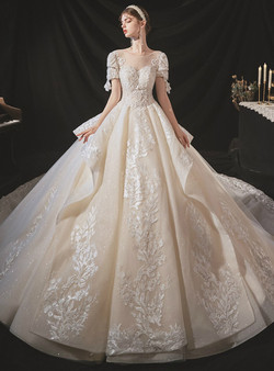 Fabulous Tulle Appliques Short Sleeve Beading Wedding Dress