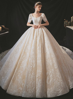 Delicate Champagne Tulle Appliques Sequins Short Sleeve Wedding Dress