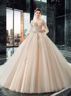 Impressive Dark Champagne Tulle Off the Shoulder Puff Sleeve Appliques Beading Wedding Dress