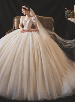 Impressive Champagne Tulle Puff Sleeve Beading Sequins Backless Wedding Dress