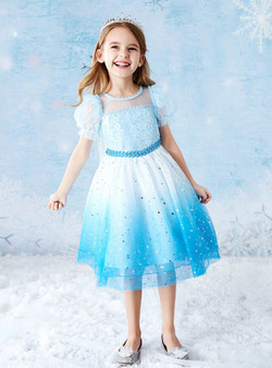 Blue Tulle Sequins Puff Sleeve Short Flower Girl Dress