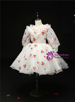 Impressive White Tulle Long Sleeve Appliques Flower Girl Dress