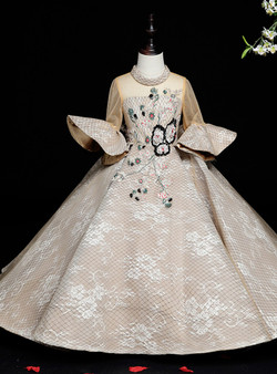 Champagne Tulle Lace Short Sleeve Embroidery Flower Girl Dress