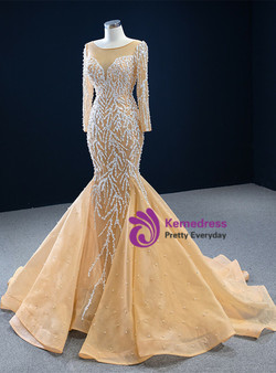 Champagne Mermaid Long Sleeve Appliques Prom Dress