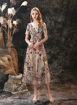 Embroidery V-neck Tulle Short Sleeve Pleats Prom Dress