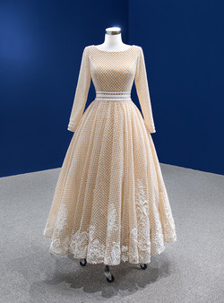 Champagne Tulle Long Sleeve Appliques Prom Dress