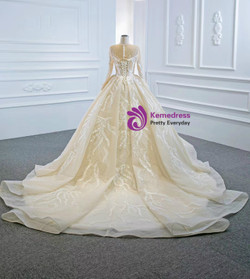 Champagne Tulle Appliques Beading Long Sleeve Wedding Dress